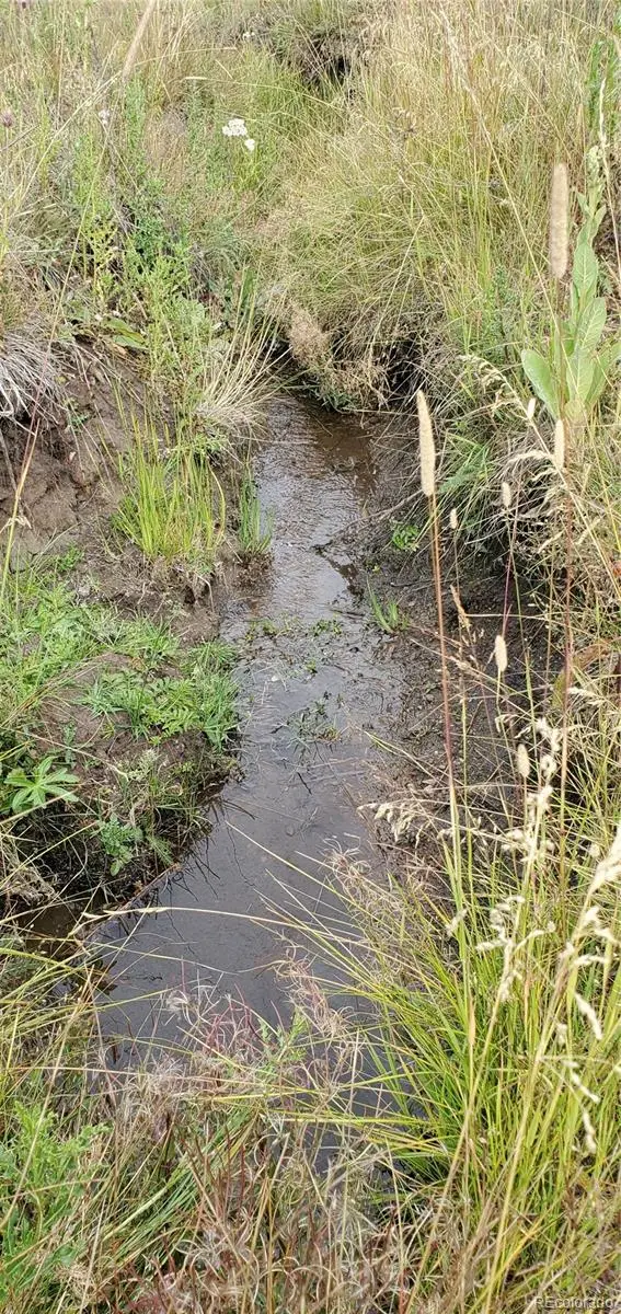 1547 Cary Lane, Fort Garland, CO 81133