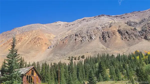 MS#19173 Samson -50%, Alma, CO 80420