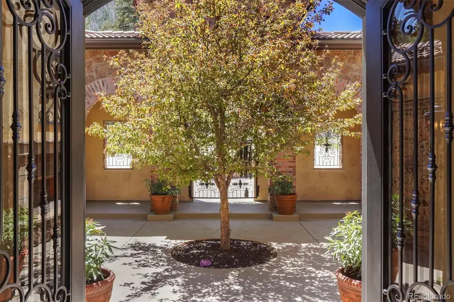 2869 Valley Park Drive, Larkspur, CO 80118 - #3