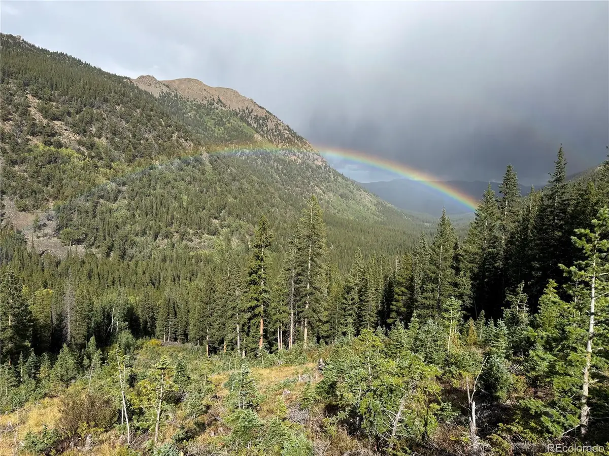 18462 Bowman, Buena Vista, CO 81211 - #1