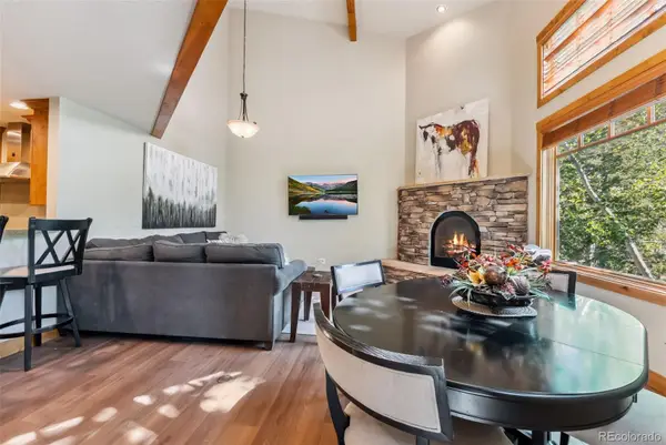 24 Rasor Drive, Dillon, CO 80435