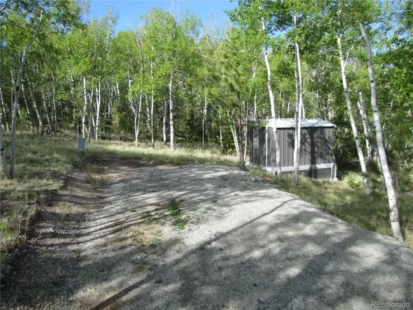 944 Brahma Circle, Hartsel, CO 80449