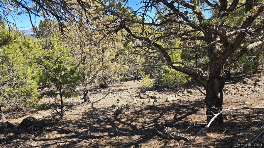 Lots 5 & 6 Lakeview Drive, San Luis, CO 81152 - #3