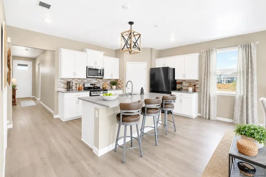 13998 Shasta Daisy Street, Parker, CO 80134 - #2