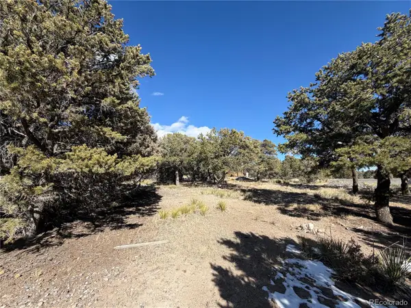 390 Cameron Pass Road, South Fork, CO 81154