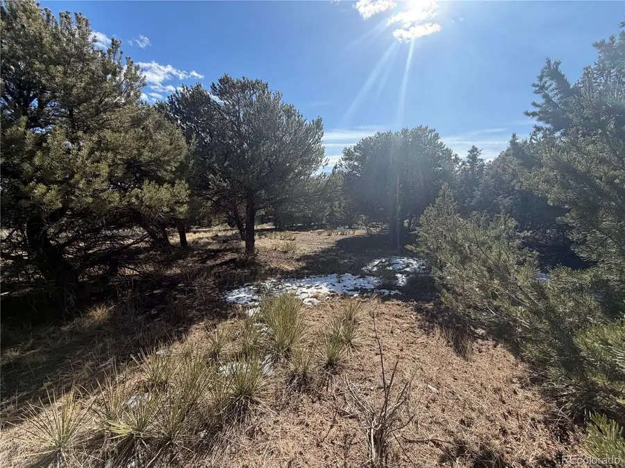 390 Cameron Pass Road, South Fork, CO 81154 - #2