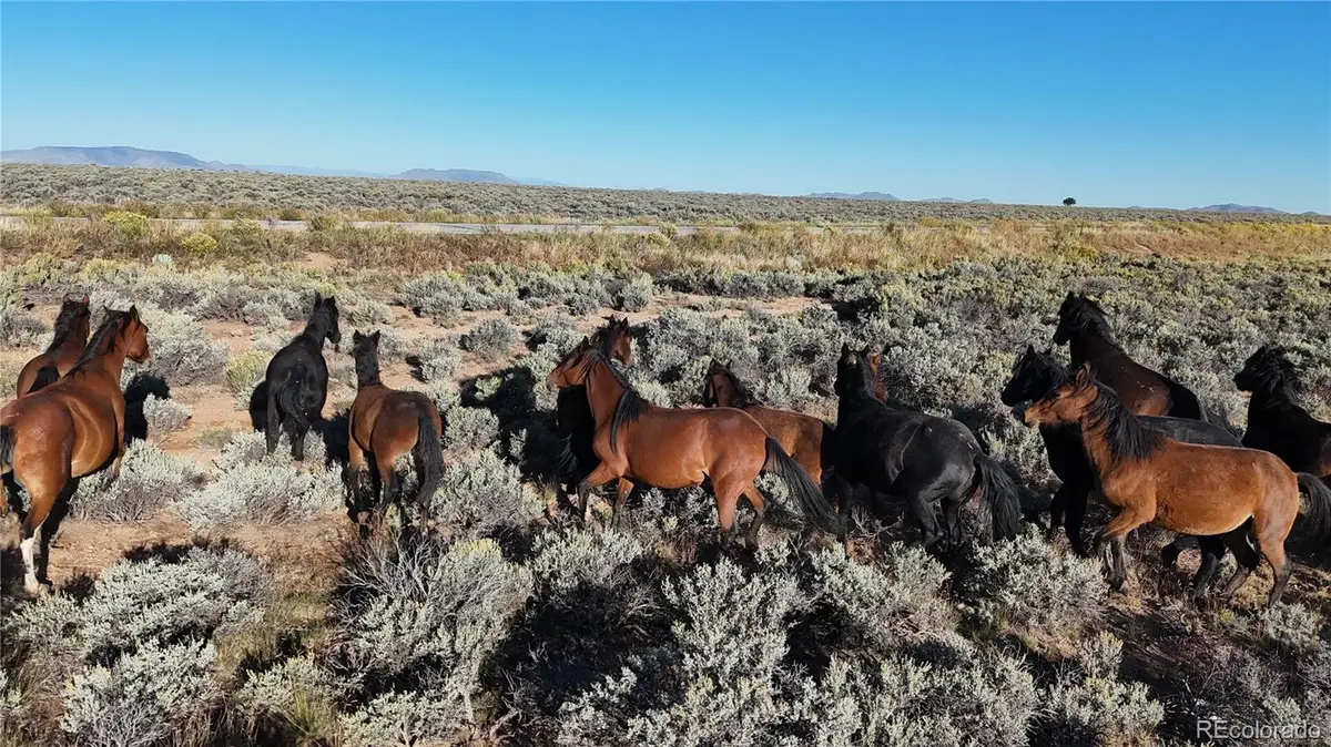 111 Tierra Blanca Ln, San Luis, CO 81152 - #1