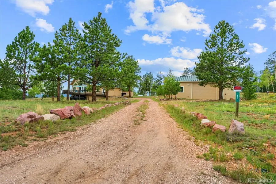 55 Crystal Peak Drive, Lake George, CO 80827 - #3