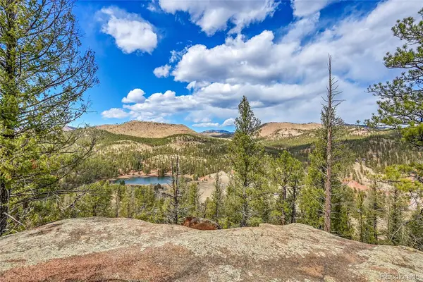 17016 Icehouse Court, Pine, CO 80470