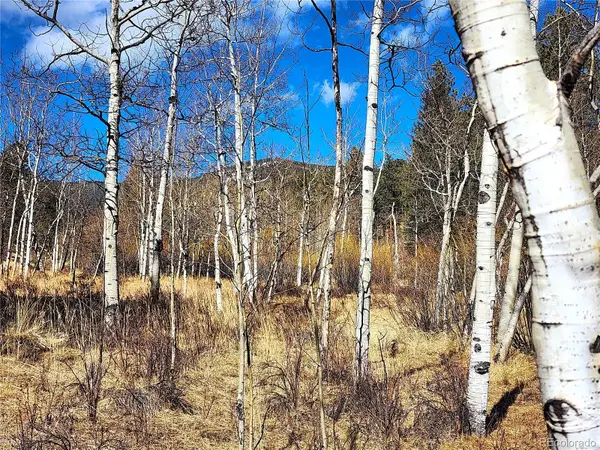 144 Gray Street, Bailey, CO 80421