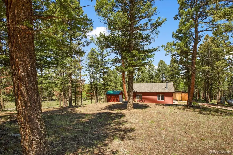 31 Handcart Circle, Florissant, CO 80816 - Image #2