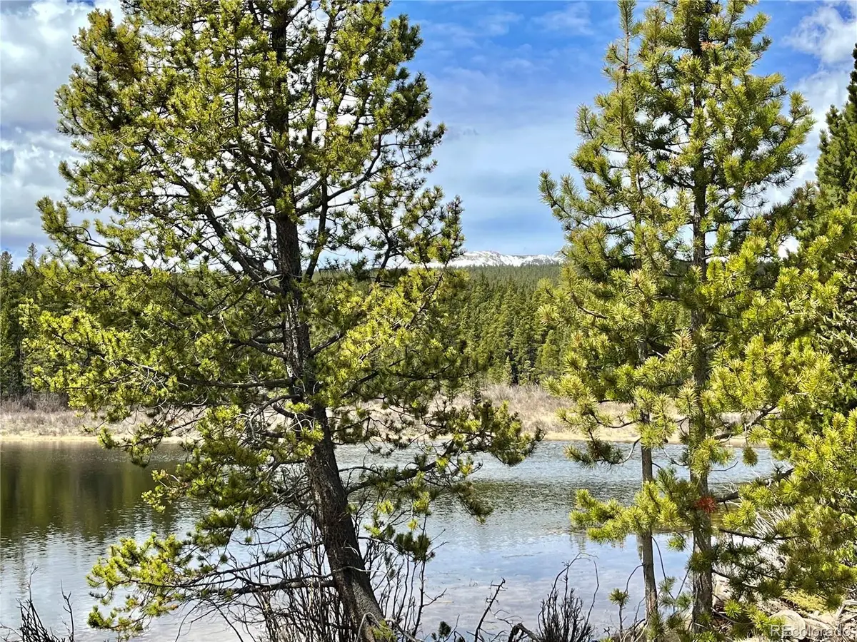 2203 Lakeside Drive, Fairplay, CO 80440 - #1