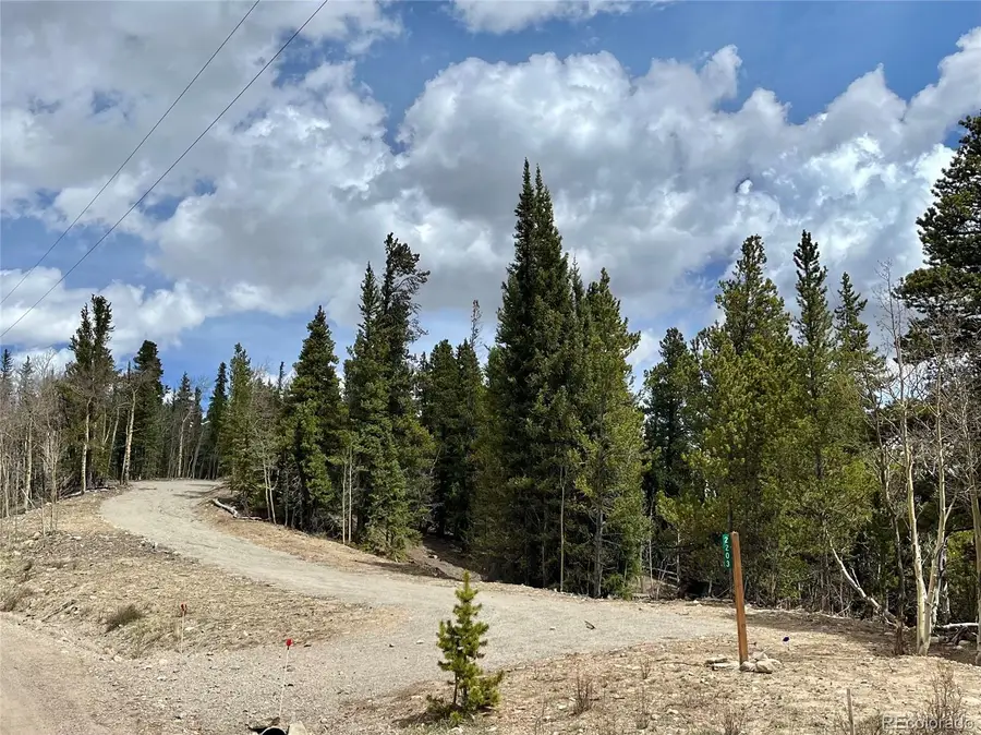 2203 Lakeside Drive, Fairplay, CO 80440 - #2