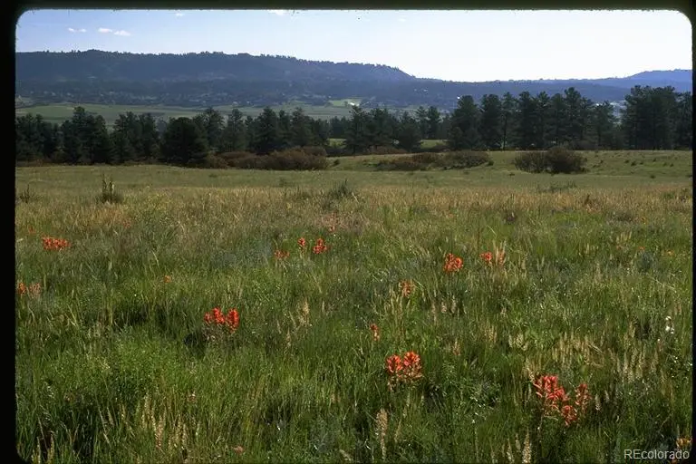 2250 Charlford Lane, Sedalia, CO 80135 - #3