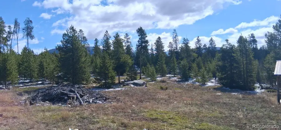 164 County Road 443, Grand Lake, CO 80447 - #3
