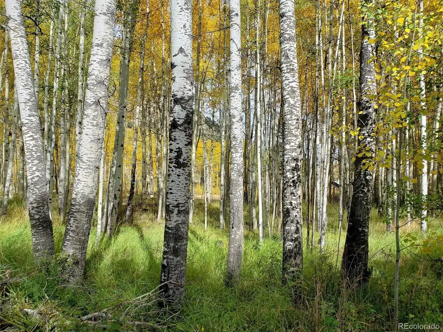 1080 Brahma Circle, Hartsel, CO 80449 - Image #3