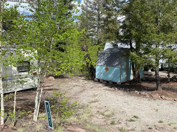 101 Rail Way, Fairplay, CO 80440