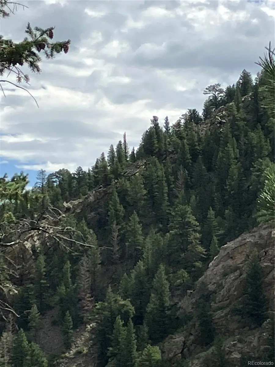 CR 314 Frontage Road, Idaho Springs, CO 80452 - Image #3