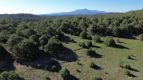 16198 Picketwire Road, Trinidad, CO 81024