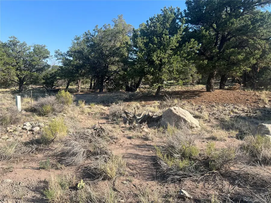 4351 Rarity, Crestone, CO 81131 - #2