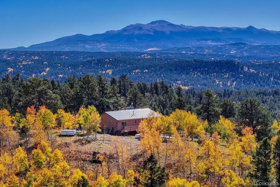 145 Crestone Circle, Florissant, CO 80816 - Image #3
