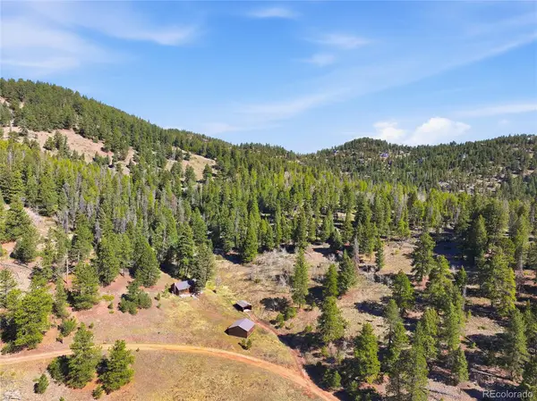 33601 Stransky Road, Evergreen, CO 80439
