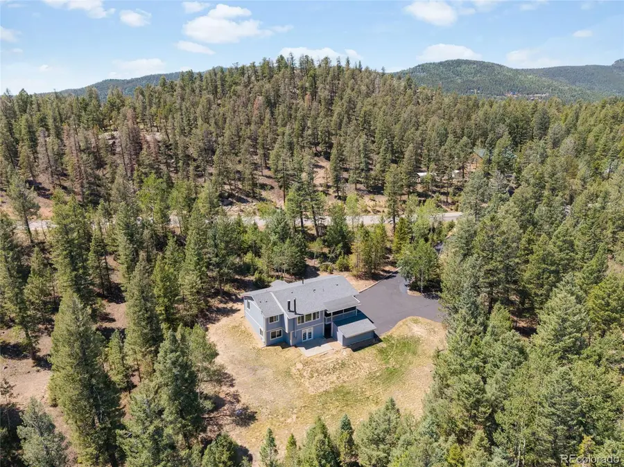 9790 S Warhawk Road, Conifer, CO 80433 - #3