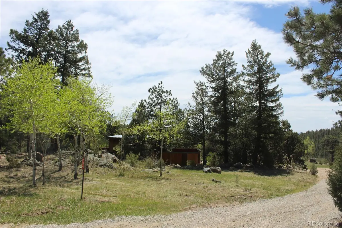 234 Panorama Drive, Bailey, CO 80421 - #1