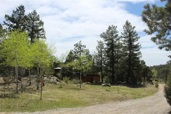 234 Panorama Drive, Bailey, CO 80421