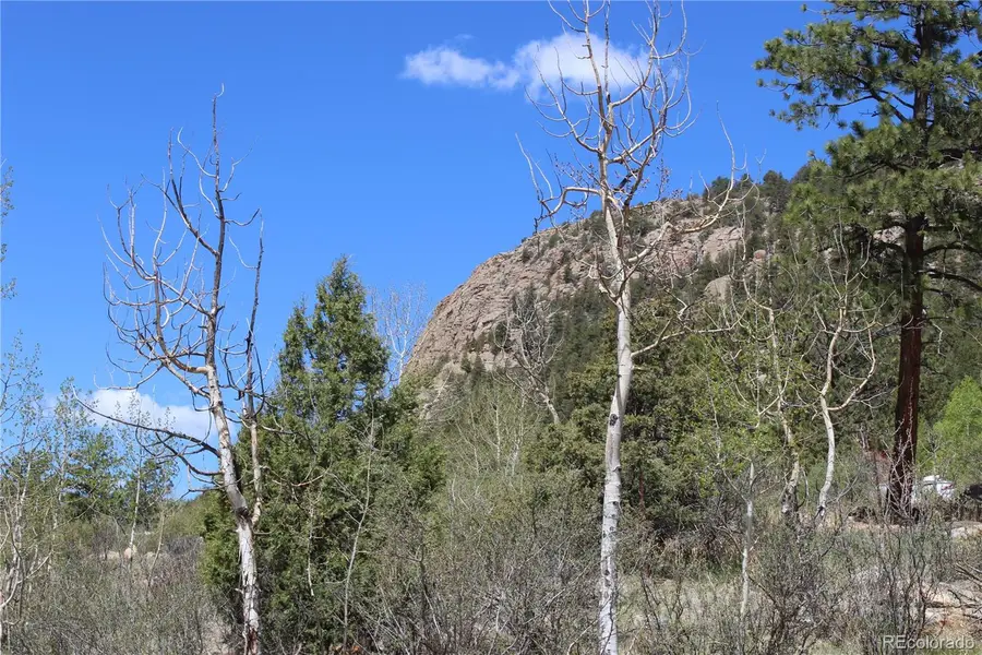 234 Panorama Drive, Bailey, CO 80421 - #3