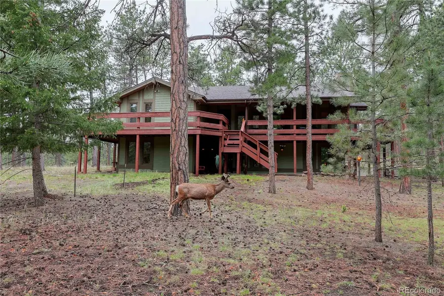 4490 Red Rock Drive, Larkspur, CO 80118 - #2