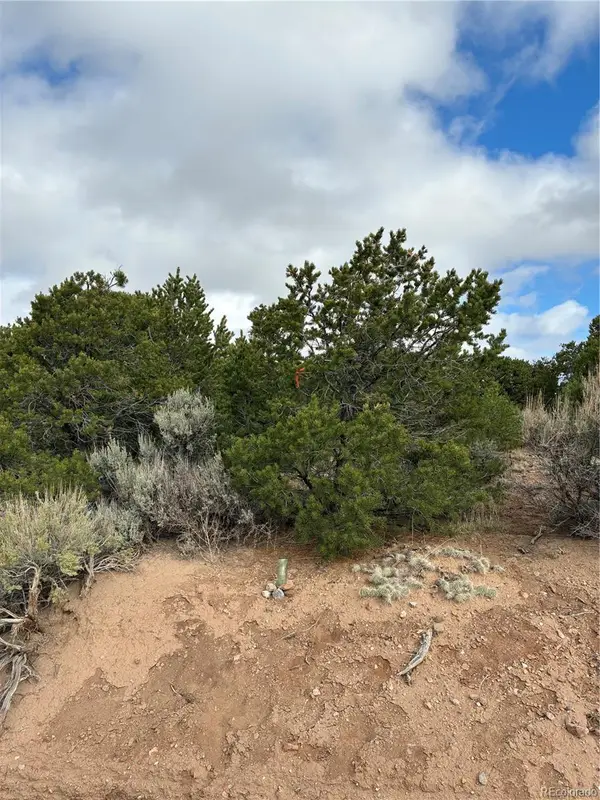 Lot 1057 Hotchkiss Road, Fort Garland, CO 81133