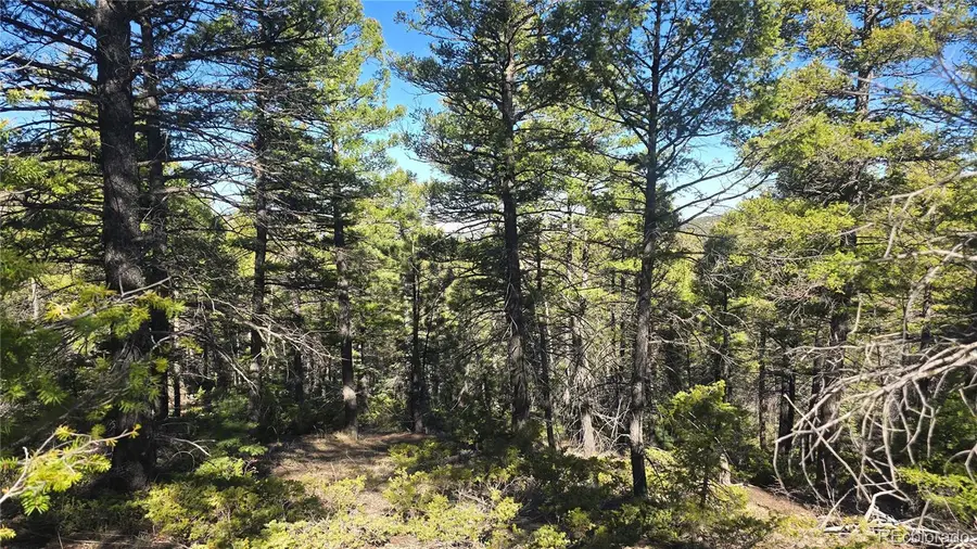 Lot 6034 Wood Road, San Luis, CO 81152 - Image #2