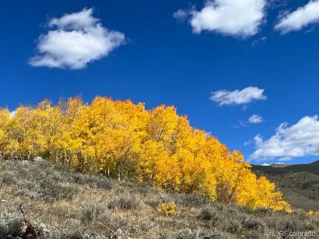 403 J Road, Silverthorne, CO 80498 - #2