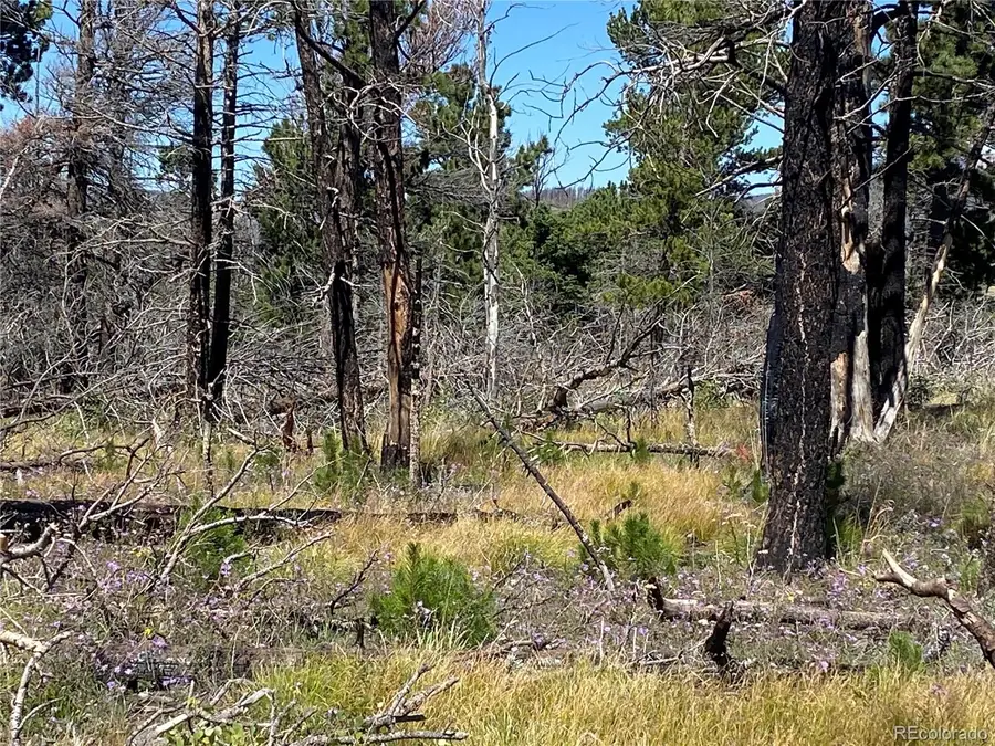 2169 Hayden Lane, Fort Garland, CO 81133 - Image #2