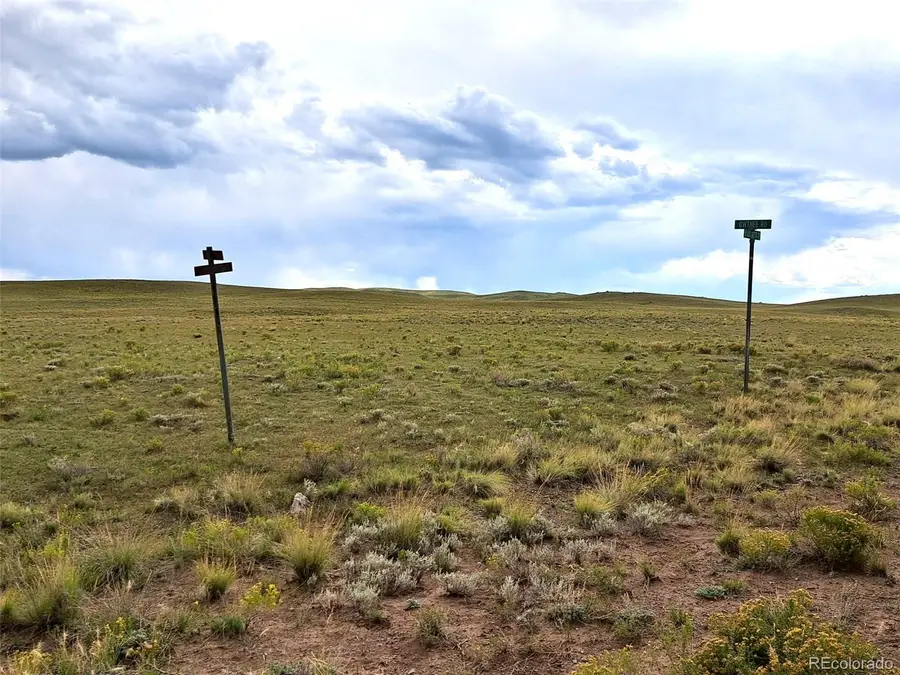 217 Black Gatto Trail, Hartsel, CO 80449 - Image #3