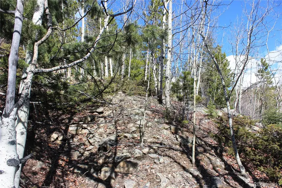 00 Spruce Street, Central City, CO 80427 - #3