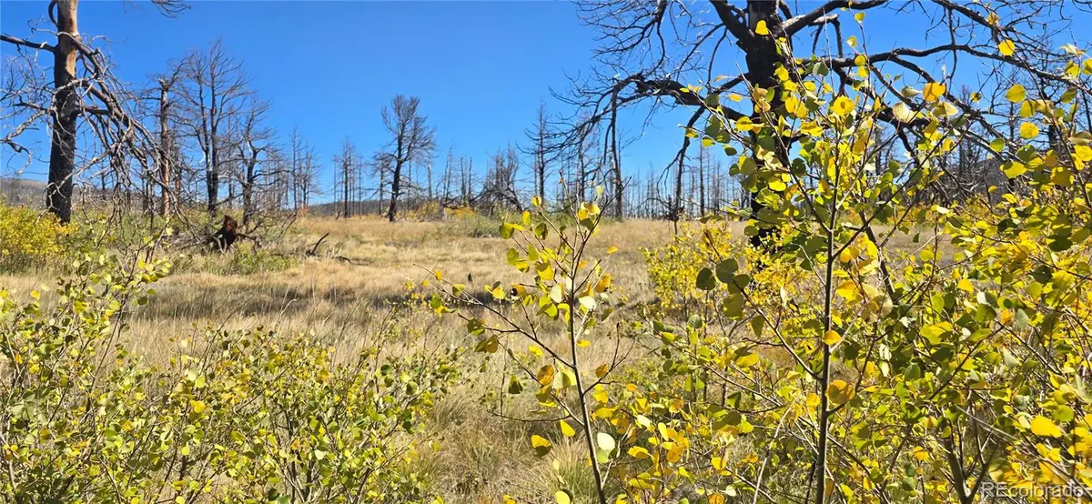 Lot 1684 Emery Loop, Fort Garland, CO 81133 - #1
