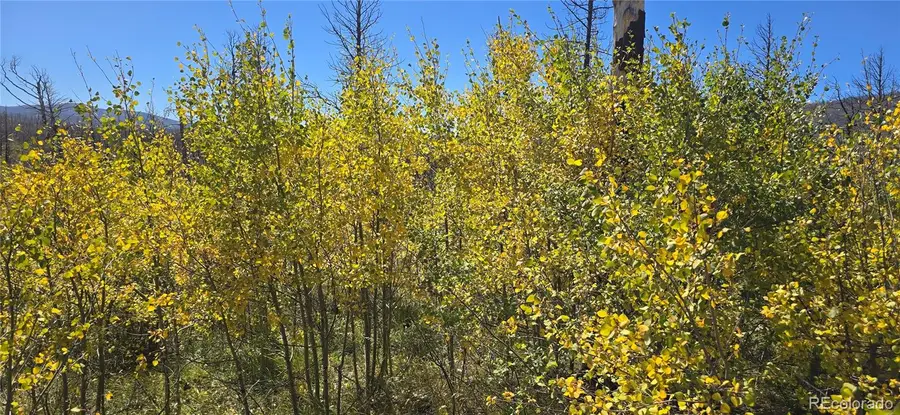 Lot 1684 Emery Loop, Fort Garland, CO 81133 - #2