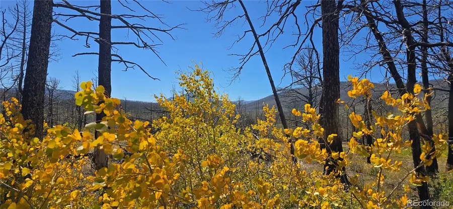 Lot 1684 Emery Loop, Fort Garland, CO 81133 - #3