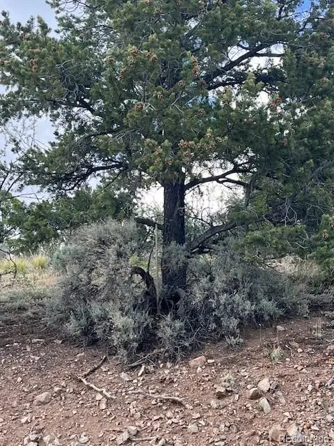 Lot 5056 France Aimee Road, Fort Garland, CO 81133 - Image #2