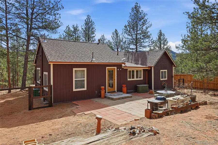 28587 Park Avenue, Pine, CO 80470 - #3