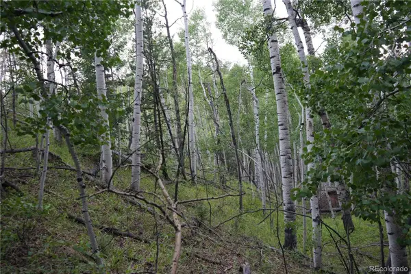 144 Goldfield Court, Cripple Creek, CO 80813