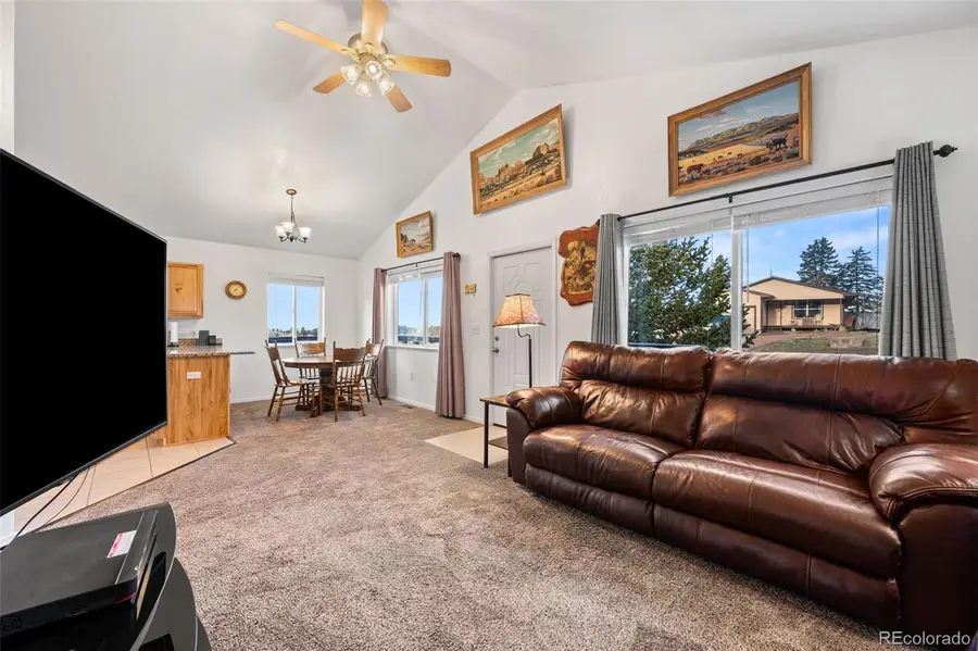 414 Aspen Street, Cripple Creek, CO 80813 - #3