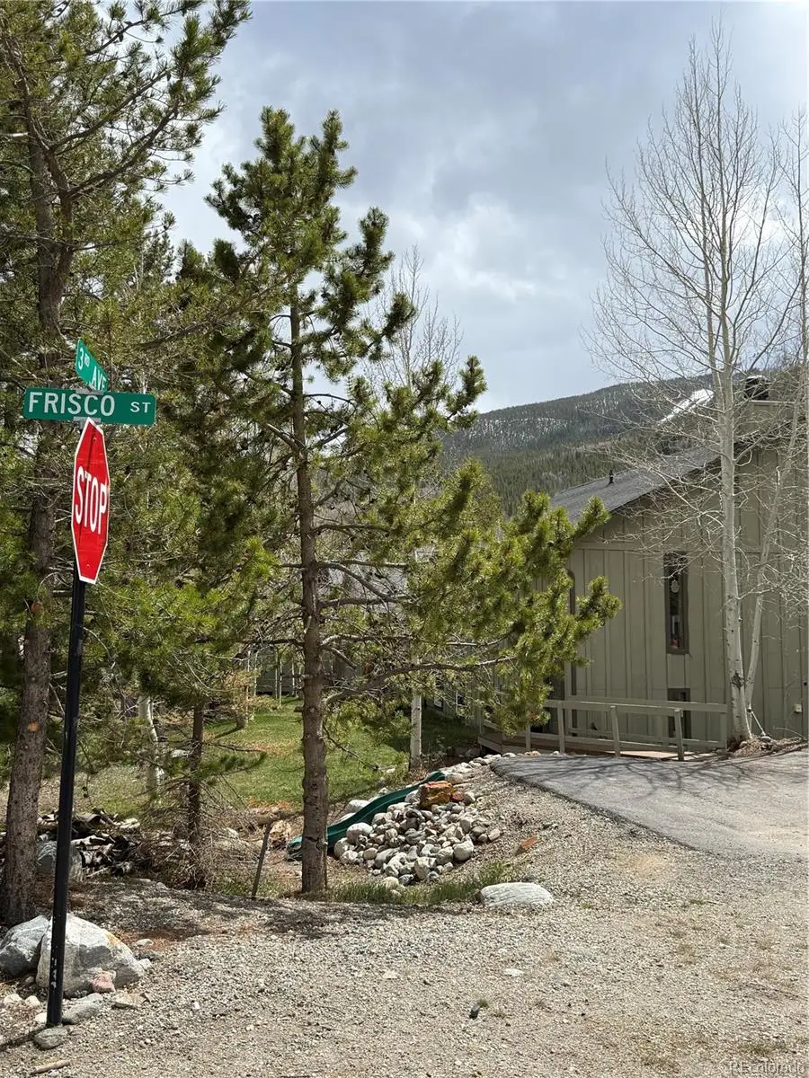 240 Frisco Street, Frisco, CO 80443 - #2