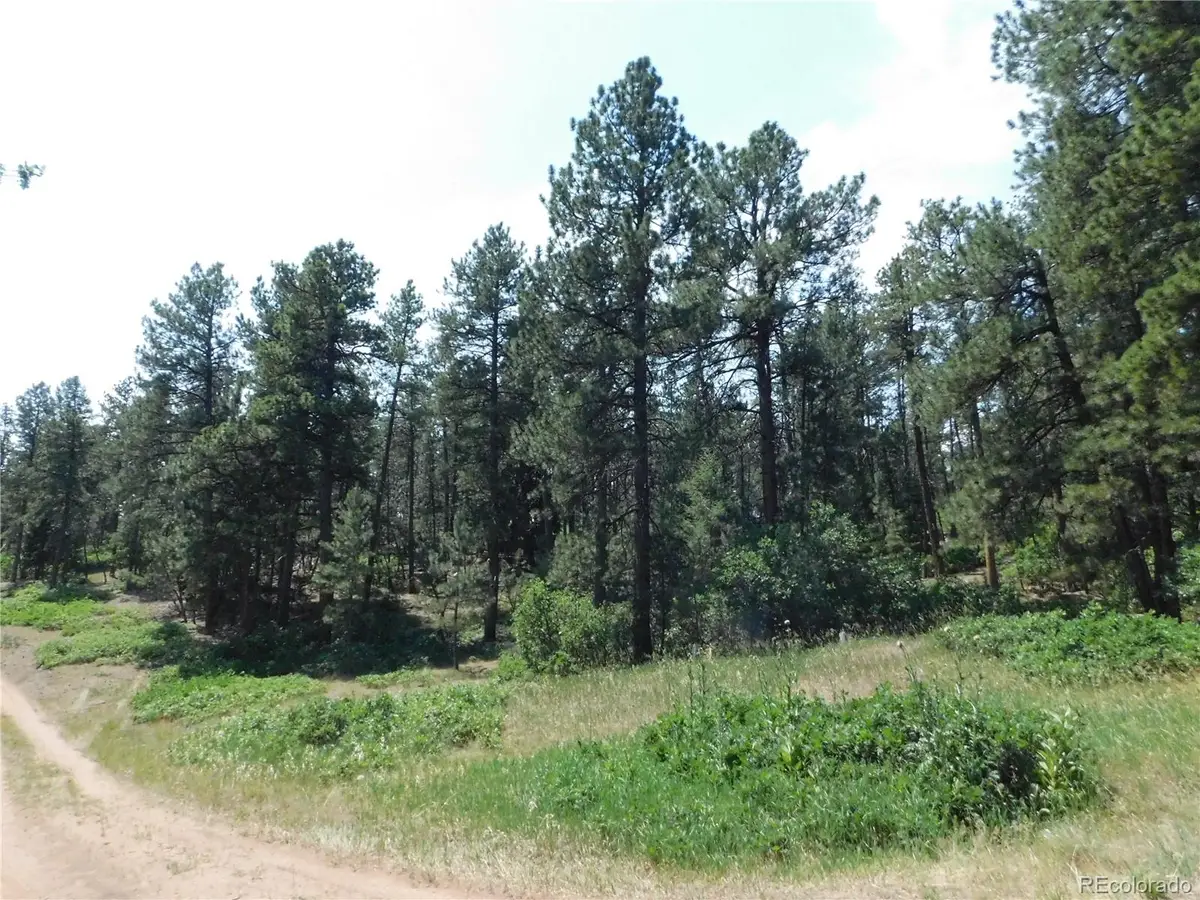4480 Delaware Drive, Larkspur, CO 80118 - #1