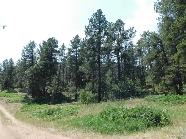 4480 Delaware Drive, Larkspur, CO 80118