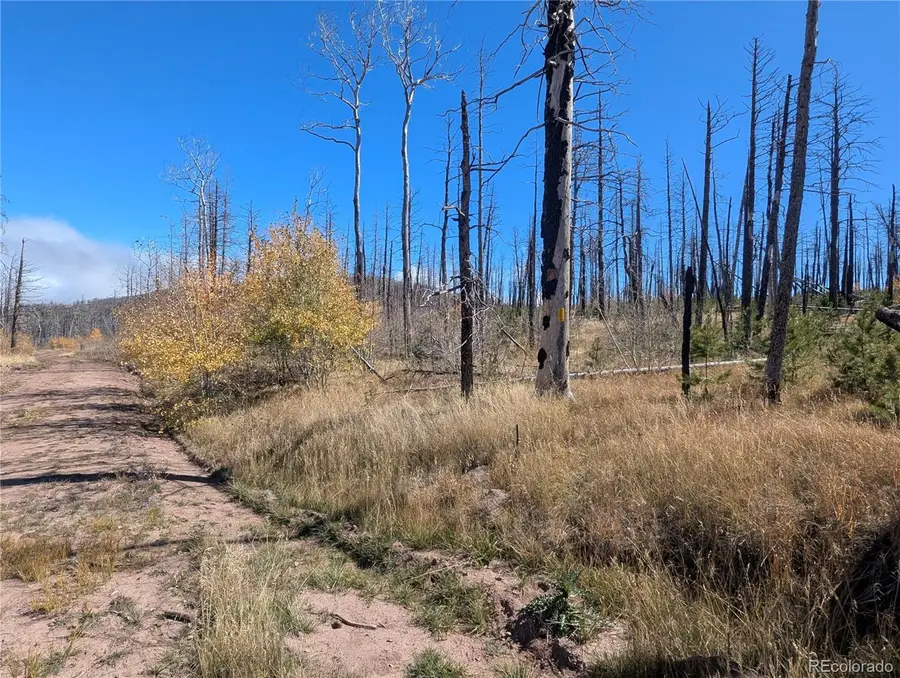 1708 Burgoyne Loop, Fort Garland, CO 81133 - Image #2