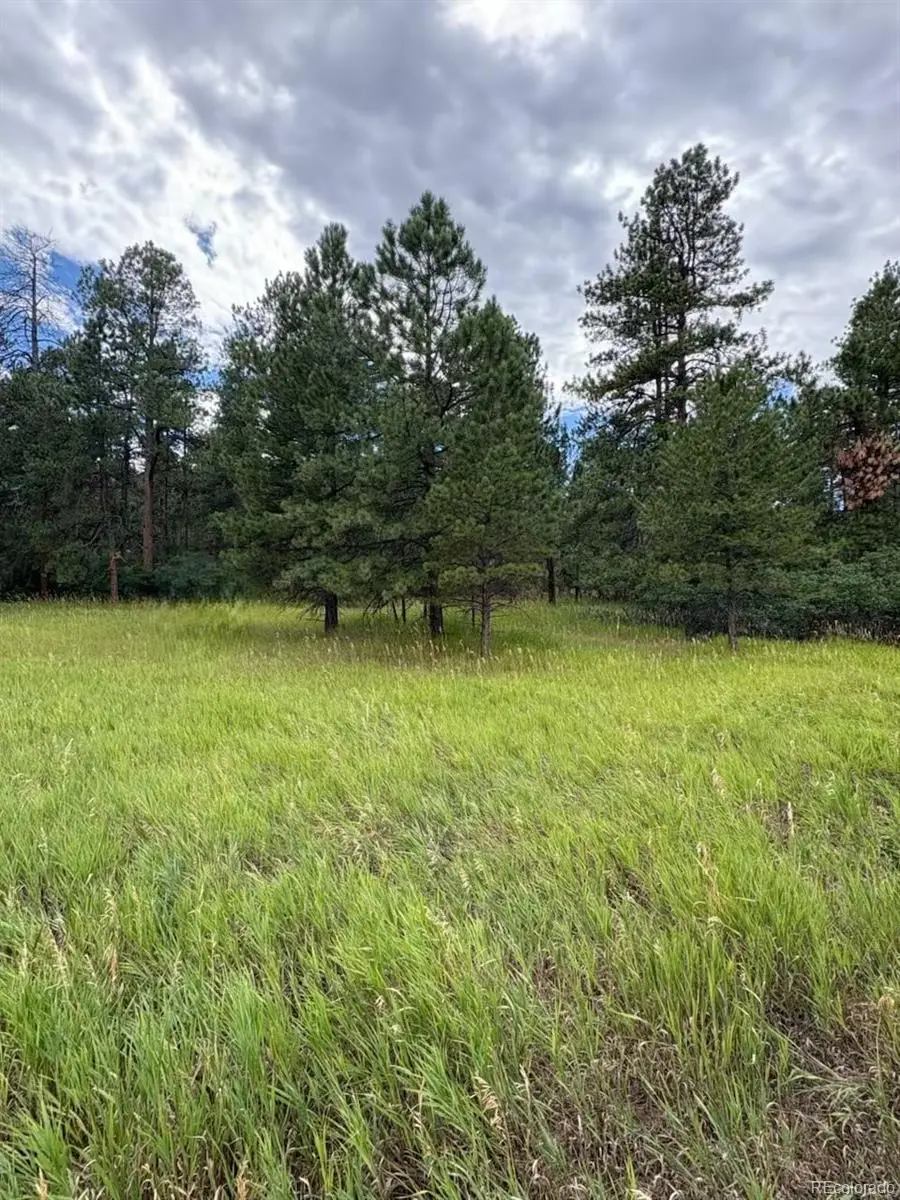 5028 Crow Drive, Larkspur, CO 80118 - Image #1