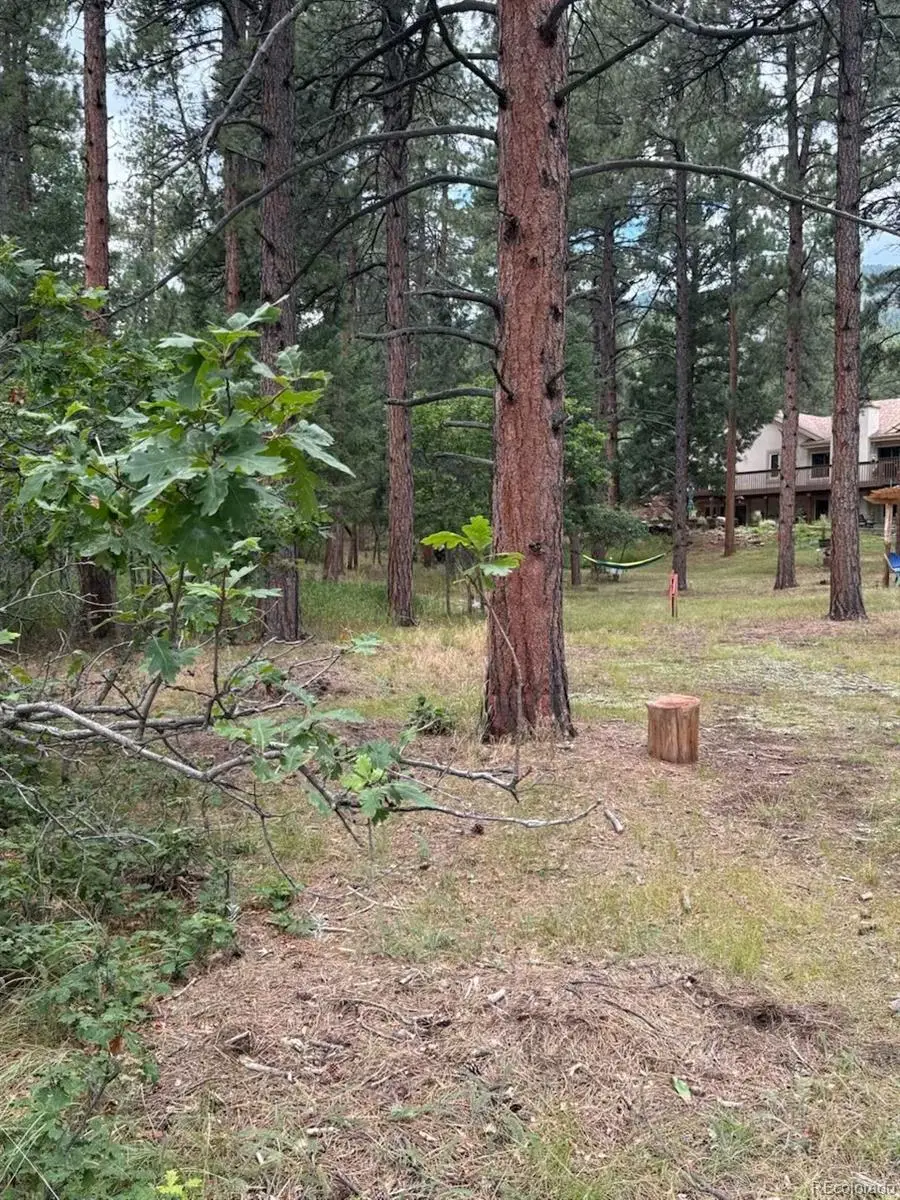 5028 Crow Drive, Larkspur, CO 80118 - Image #3